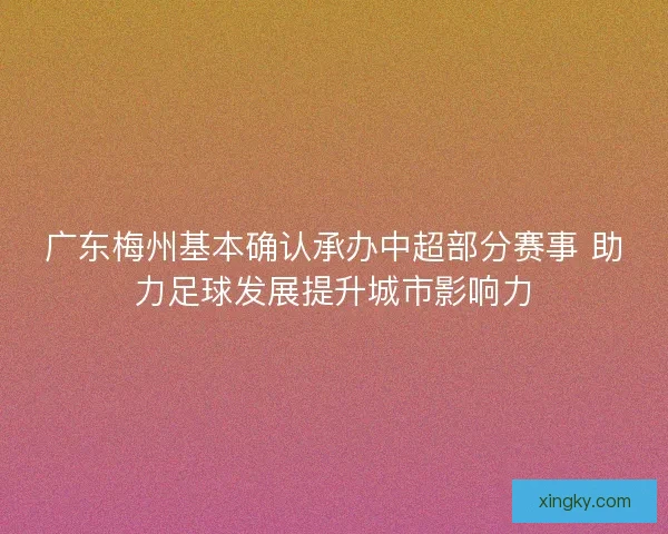 广东梅州基本确认承办中超部分赛事 助力足球发展提升城市影响力