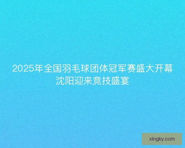 2025年全国羽毛球团体冠军赛盛大开幕沈阳迎来竞技盛宴