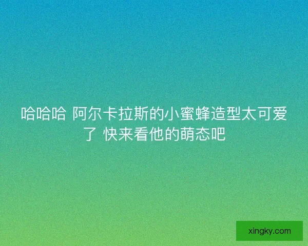 哈哈哈 阿尔卡拉斯的小蜜蜂造型太可爱了 快来看他的萌态吧